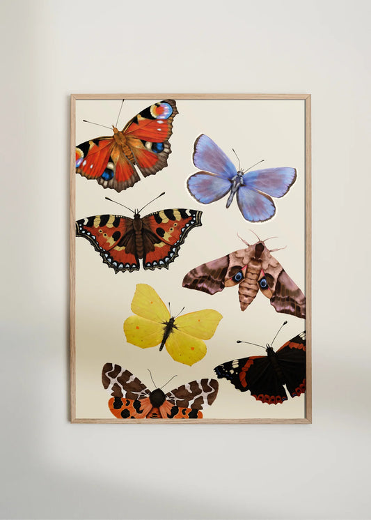 Maladroit - Flyvsk Sommerfugle A3 str.