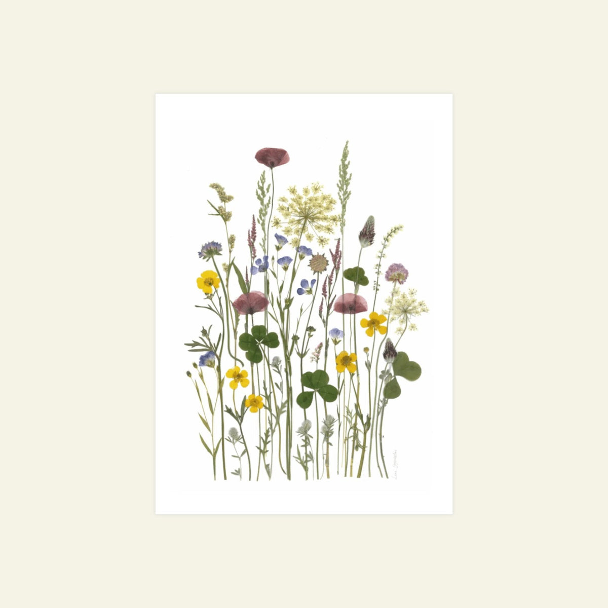 Blomsterpresseriet - Grøftekantsbuket