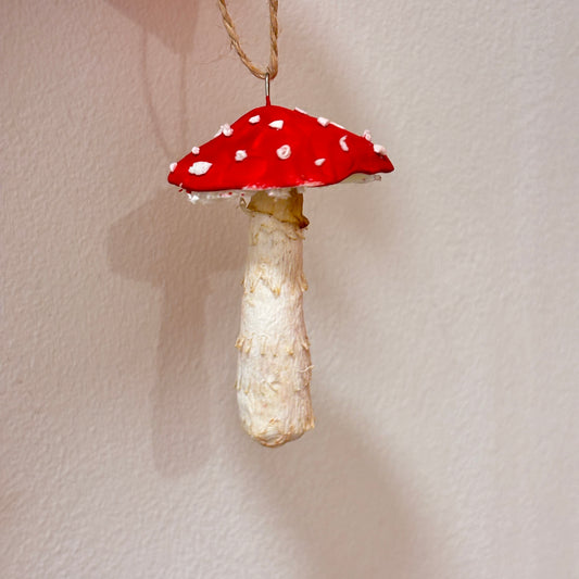 Bluelou Studio - Svampe