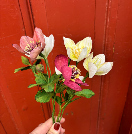 Bluelou Studio - Julerose