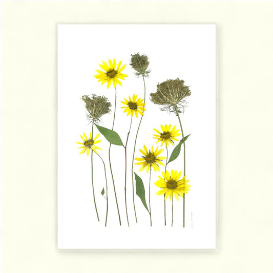 Blomsterpresseriet - Gul som solen