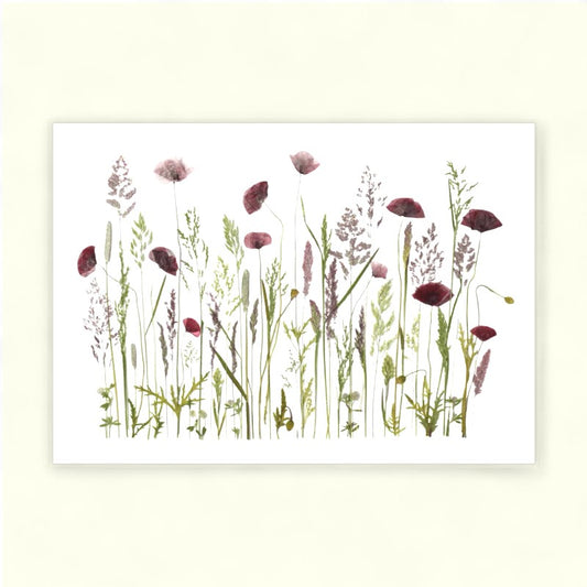 Blomsterpresseriet - Grøftekant med valmuer