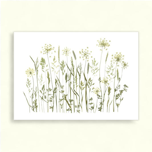 Blomsterpresseriet - Sommer Grøftekant