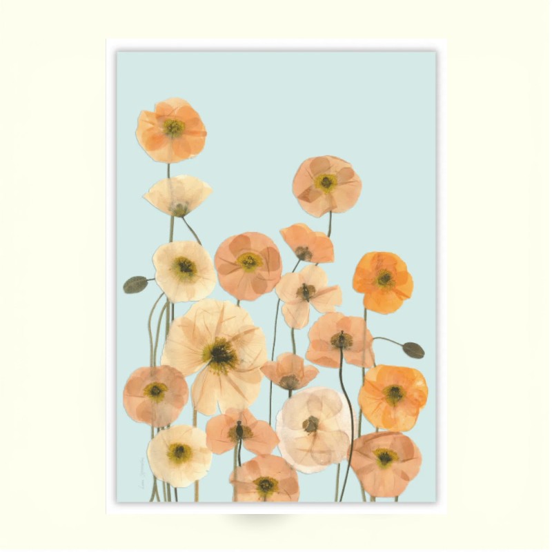 Blomsterpresseriet - Sibirisk Valmue