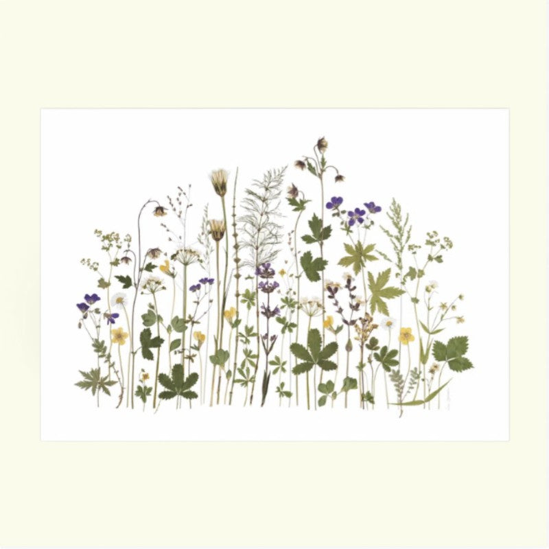 Blomsterpresseriet - Bornholm rundt
