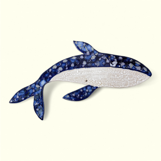 En Strandet Hval - Blåhval, stor