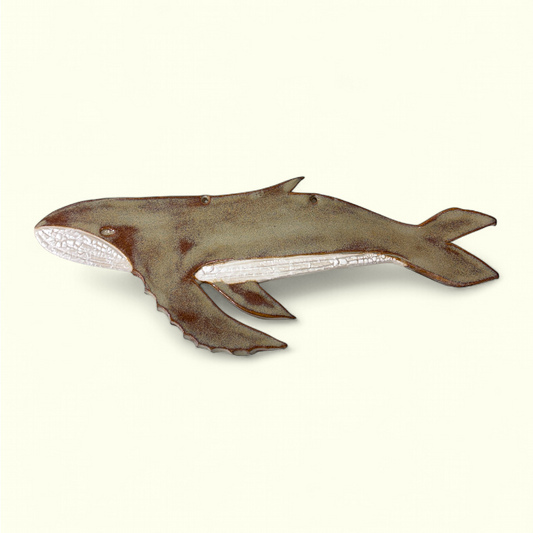 En Strandet Hval - Pukkelhval