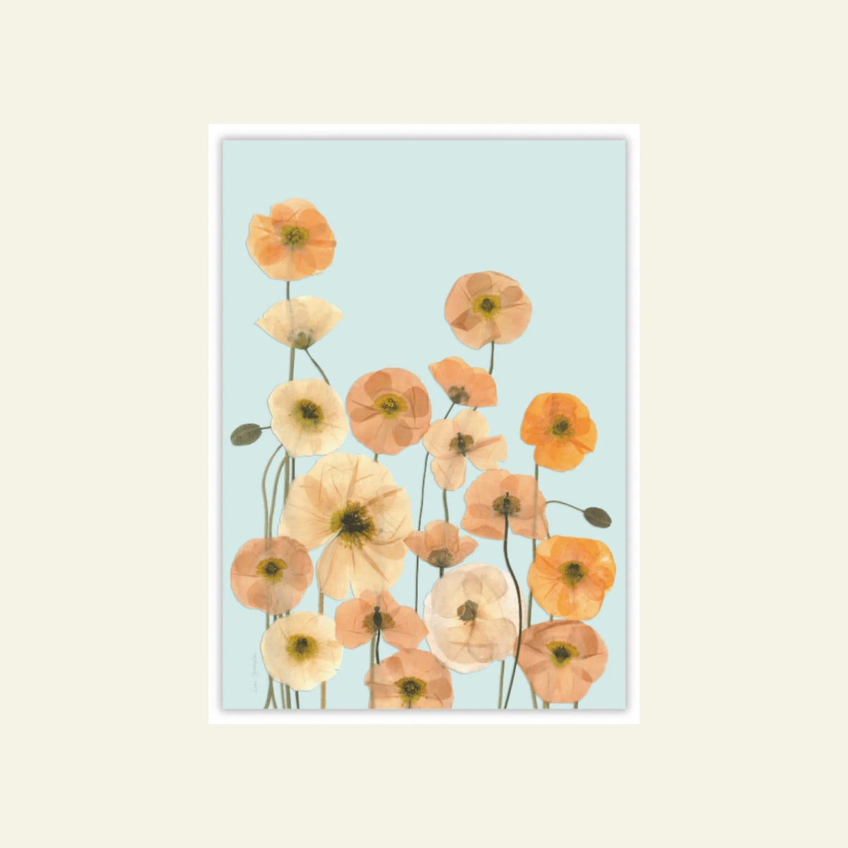 Blomsterpresseriet - Sibirisk Valmue