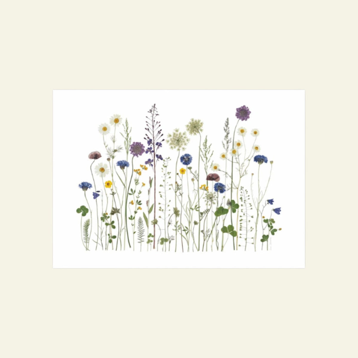 Blomsterpresseriet - Vildt Sommerflor