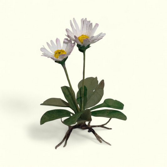 Bluelou Studio - Bellis med rod