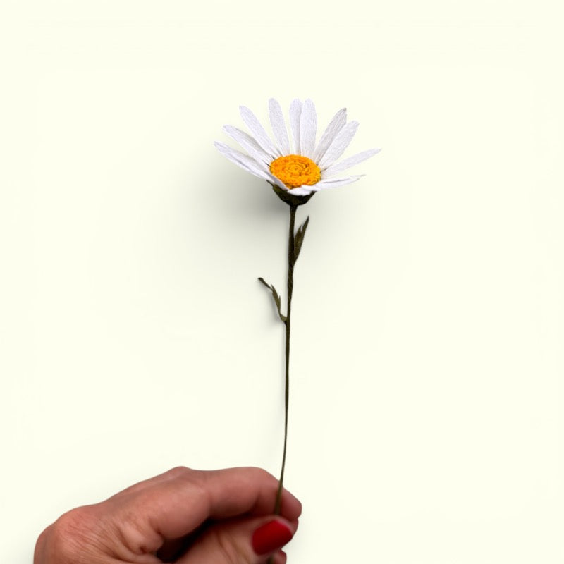 Bluelou Studio - Margueritte