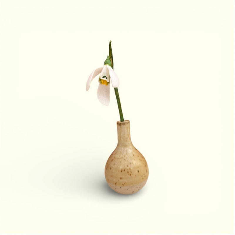 Bluelou Studio - Vintergæk