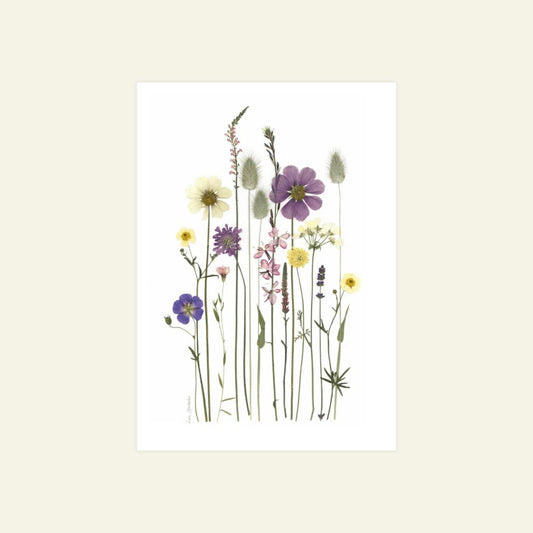 Blomsterpresseriet - Blomsterglæde