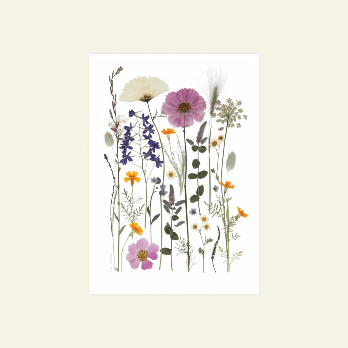 Blomsterpresseriet - Brede Havekiosk