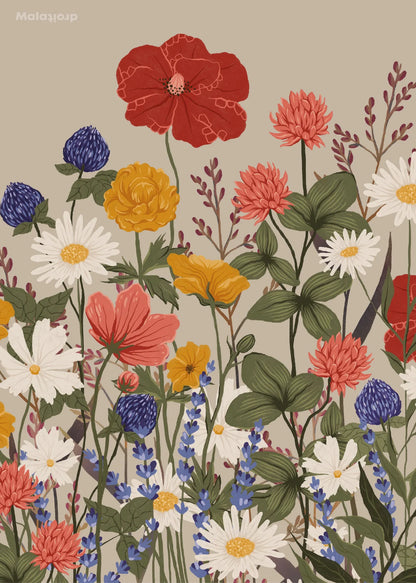 Maladroit - Vilde Blomster