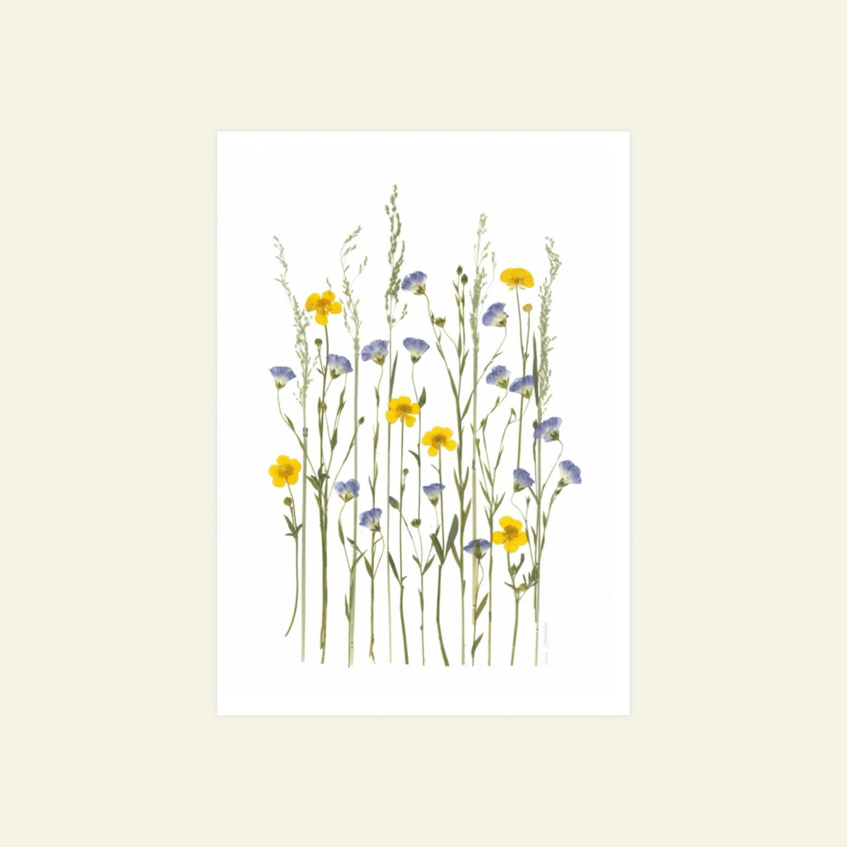 Blomsterpresseriet - Det bliver sommer igen