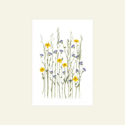 Blomsterpresseriet - Det bliver sommer igen
