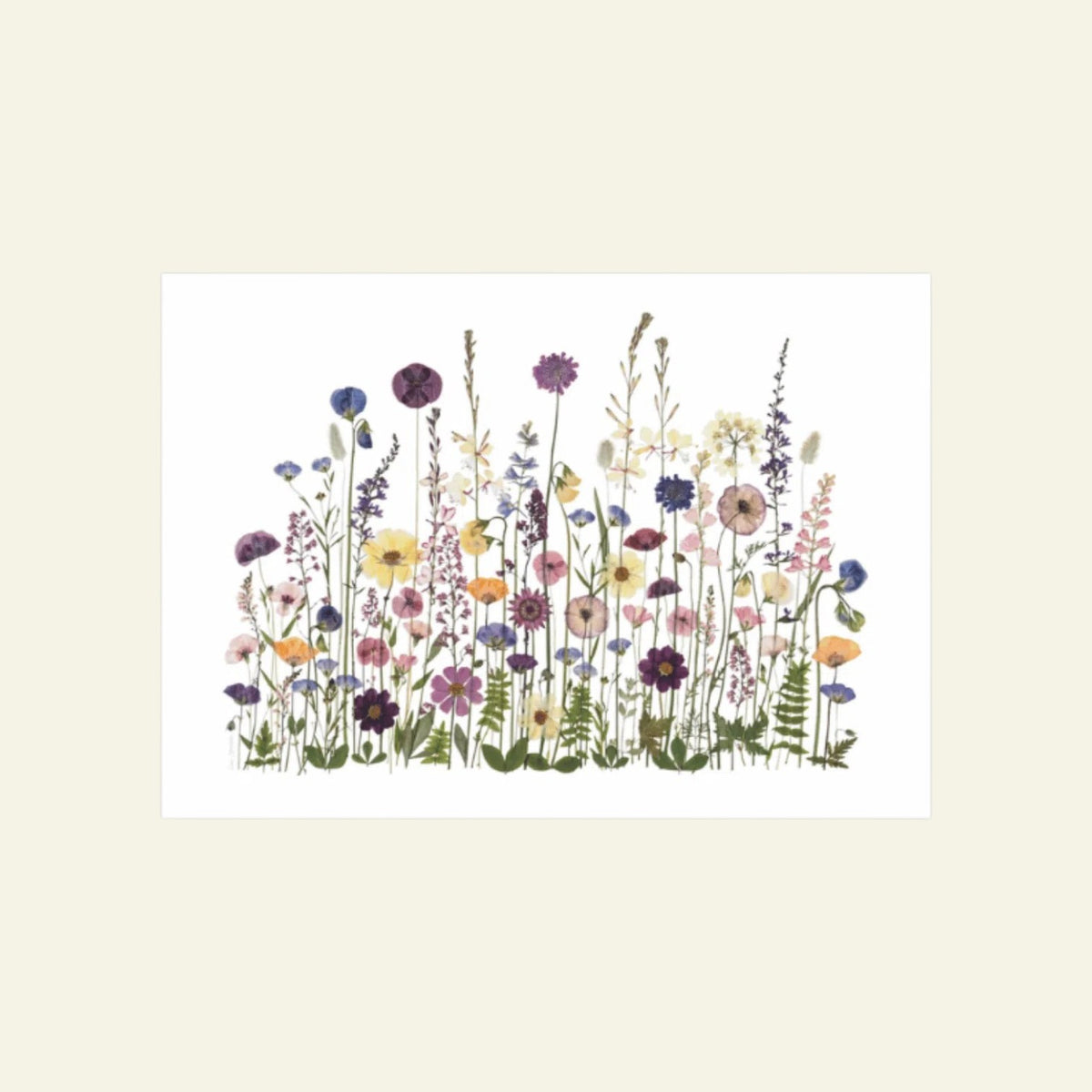 Blomsterpresseriet - En have så skøn
