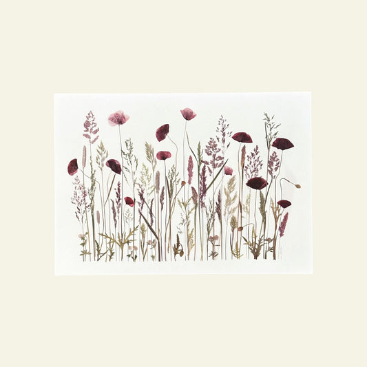 Blomsterpresseriet - Grøftekant med valmuer