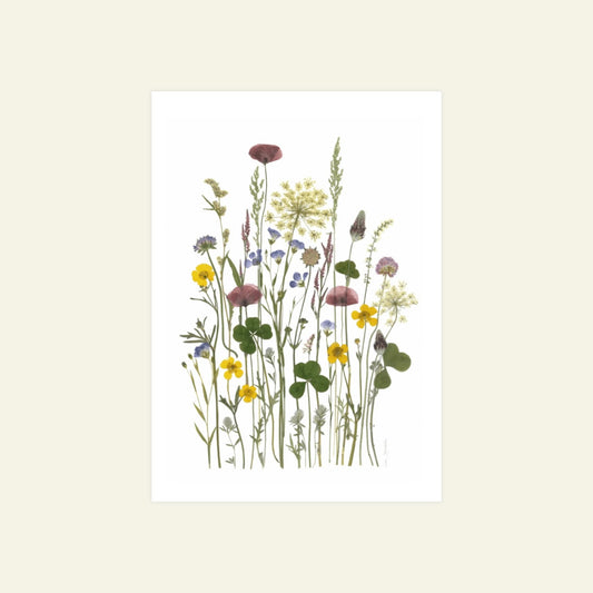 Blomsterpresseriet - Grøftekantsbuket