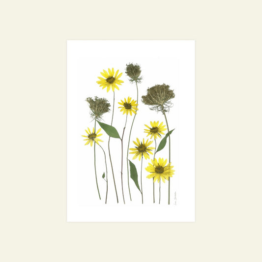 Blomsterpresseriet - Gul som solen