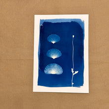 Indlæs billede til gallerivisning Bluelou Studio - A4 planter på akvarel papir
