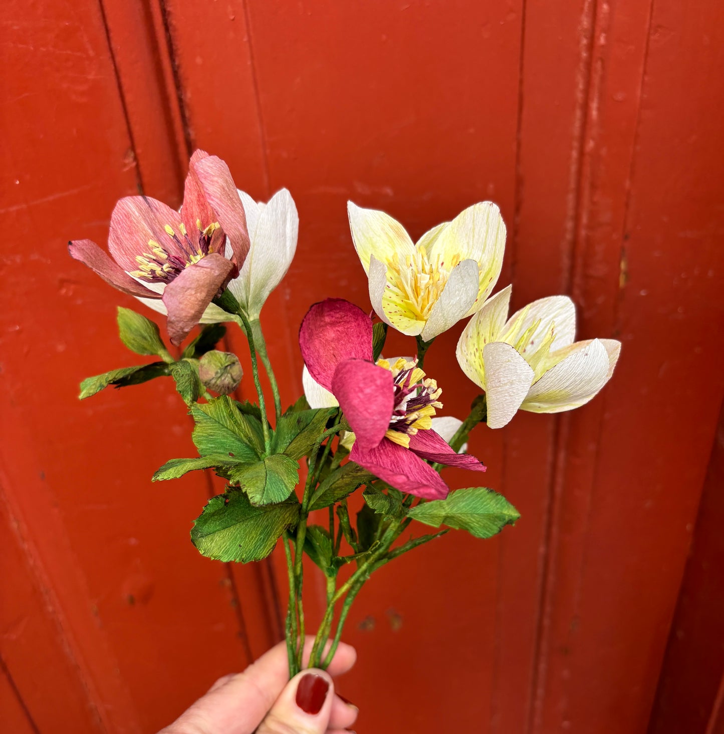 Bluelou Studio - Julerose