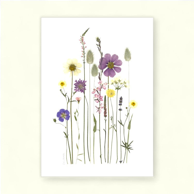 Blomsterpresseriet - Blomsterglæde