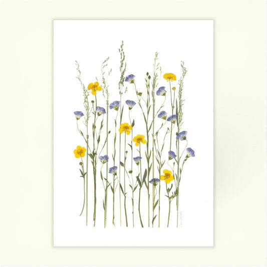 Blomsterpresseriet - Det bliver sommer igen