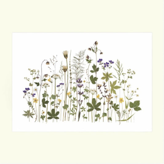 Blomsterpresseriet - Bornholm rundt