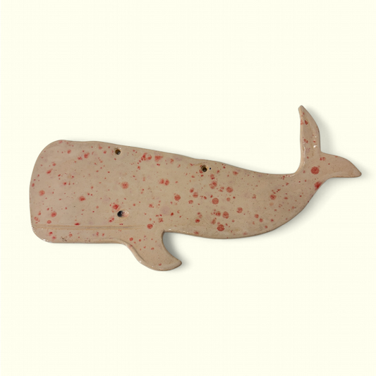 En Strandet Hval - Kaskelot hval