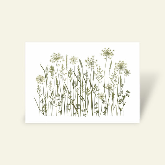 Blomsterpresseriet - Sommer Grøftekant