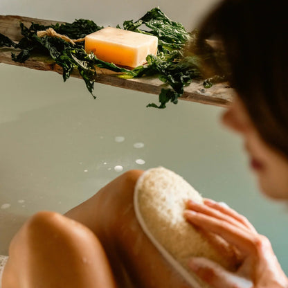 Havdypp - Seaweed Body sæbe