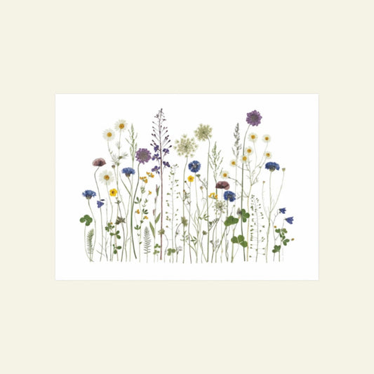 Blomsterpresseriet - Vildt Sommerflor