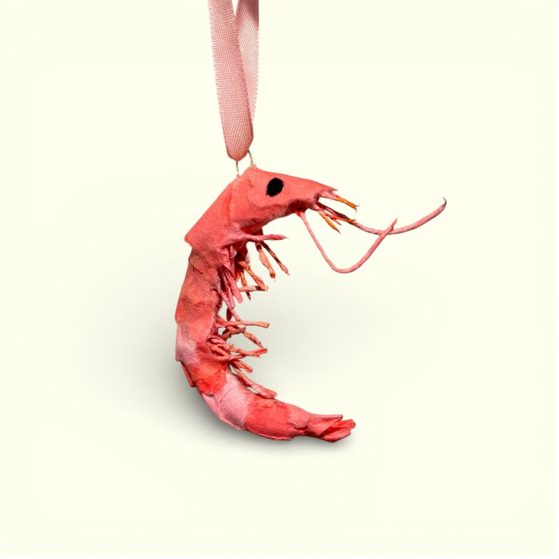 Bluelou Studio - Reje