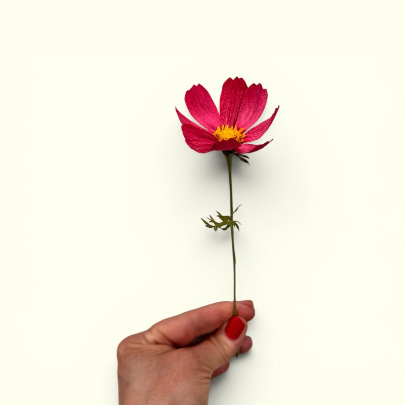 Bluelou Studio - Stoltekavaler