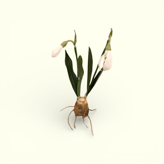 Bluelou Studio - Vintergækker med løg