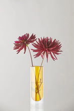 Indlæs billede til gallerivisning Studio About Blomstervase (Flower tubes, low)
