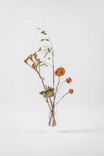Indlæs billede til gallerivisning Studio About Blomstervase (Flower tubes, low)
